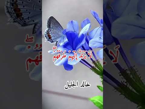 ربى اجعلنى مقيم الصلاة ومن ذريتي الشيخ خالد الجليل 