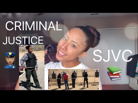 criminal-justice-:-deep-insight