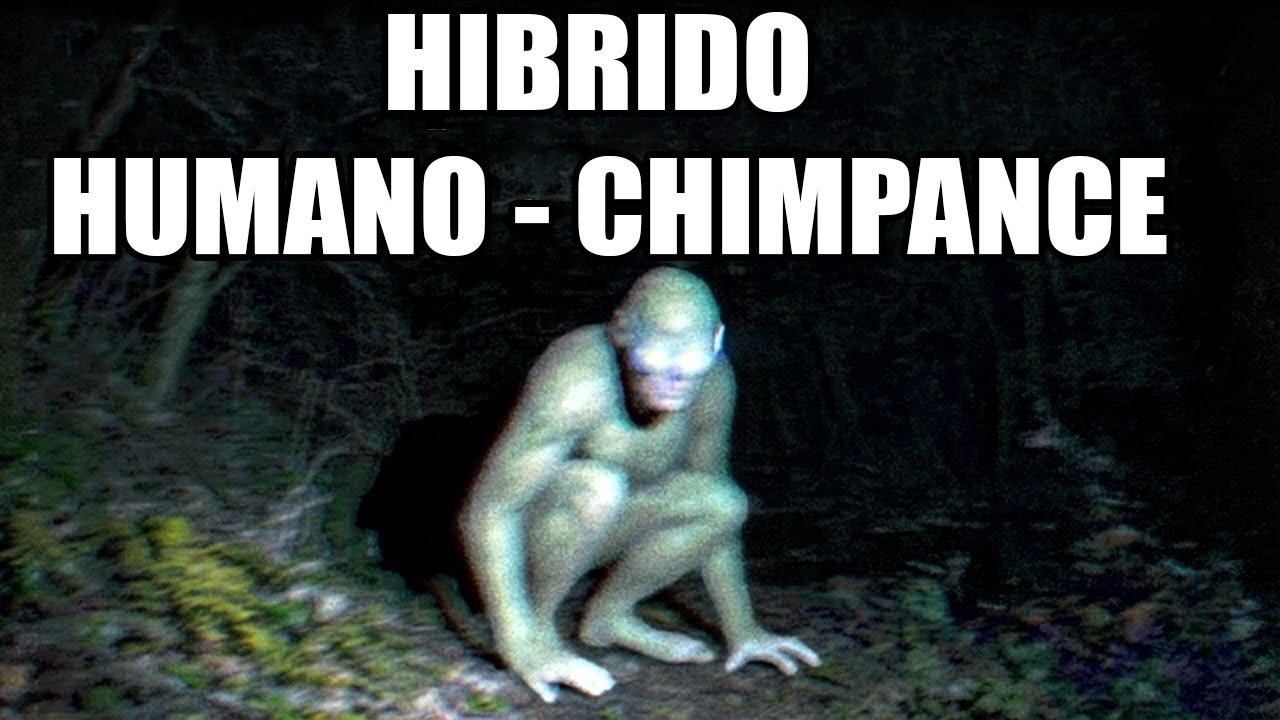 Los Animales Hibridos Más Aterradores Que Existen