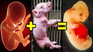 Thumbnail image for Los Animales Hibridos Más Aterradores Que Existen