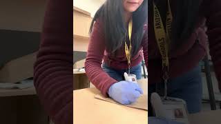 Packaging Evidence Lab Activity