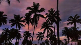 AMANHECER ✨🎶Lonely in the Rain – Falling Like A Feather (with RAINBOW. feat. Jodie Knight)