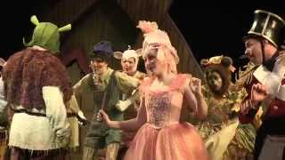 Shrek The Musical At Childrens Theatre Company
