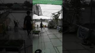 Vietnhankhahan 09012021