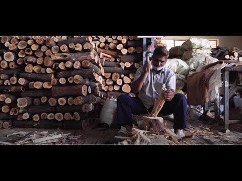 Video Tại sao gỗ Đàn hương lại có giá cao như vậy ? - youtube