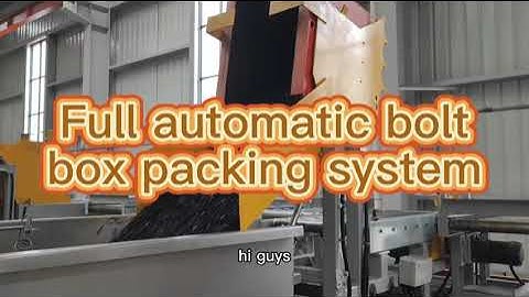 Visit customer factory--full automatic bolt box packing system--Focus Machinery