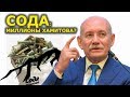 "Сода: миллионы Хамитова?". I серия. Специальный репортаж. "Открытая Политика".