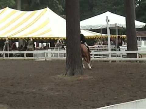 Skidmore College Horse Show Saratoga 08 Bering C W...