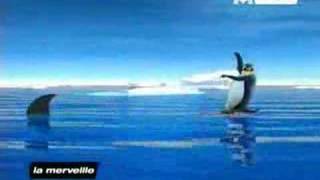 Video thumbnail of "pingu danc - GHOSST"