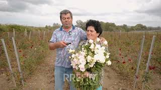 Çifti Që Lanë Italinë Dhe Ndërtuan Biznesin Familjar Me Trëndafila, Kultivojnë Mbi 40 Mijë Rrënjë