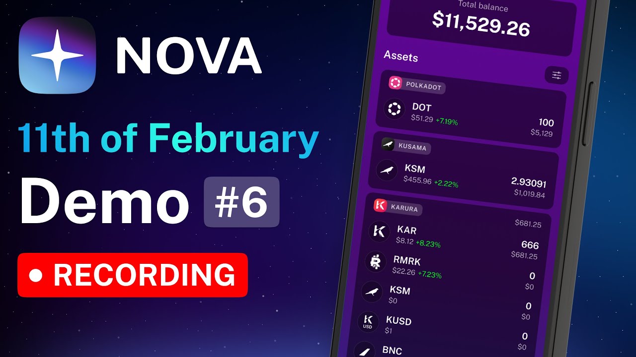 Nova Wallet Demo #6 - Multi-chain & assets release, RMRK & KINT demo, NFT  preview (11-02-2022)
