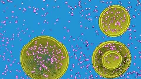 Liposome Basics-Part two