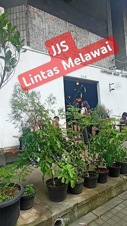 Jjs dilintas Melawai bnyk berubah nya skrg...