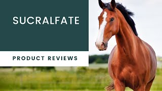 Product Review: Omeprazole and Sucralfate (Landy and Veronica)