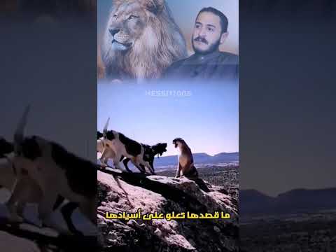 سعيد ابو مصطفى أسد المسيح