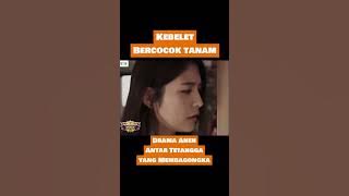 Tetangga Yang Bikin Kangen