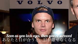 Avicii ft.Alex Ebert - How Many Lovers【和訳】