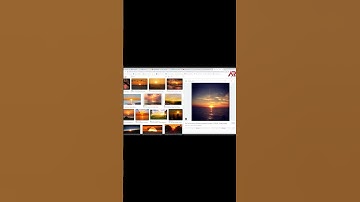 Remove Trees Background in Photoshop | Cut Out Trees In Photoshop