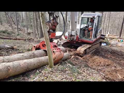 Waldarbeit Mit Bagger Youtube