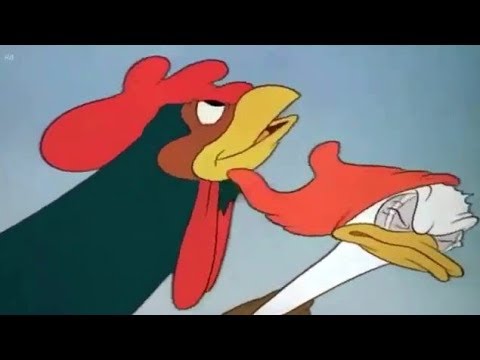  Kartun  Anak  Donald Bebek Telur Ayam  YouTube