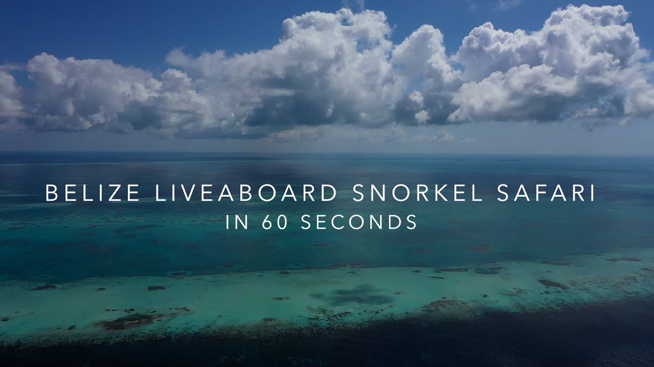 Belize Liveaboard Snorkel Safari in 60 Seconds