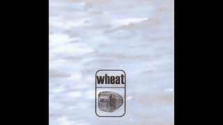 Working Man's Manifesto - Wheat (1997)
