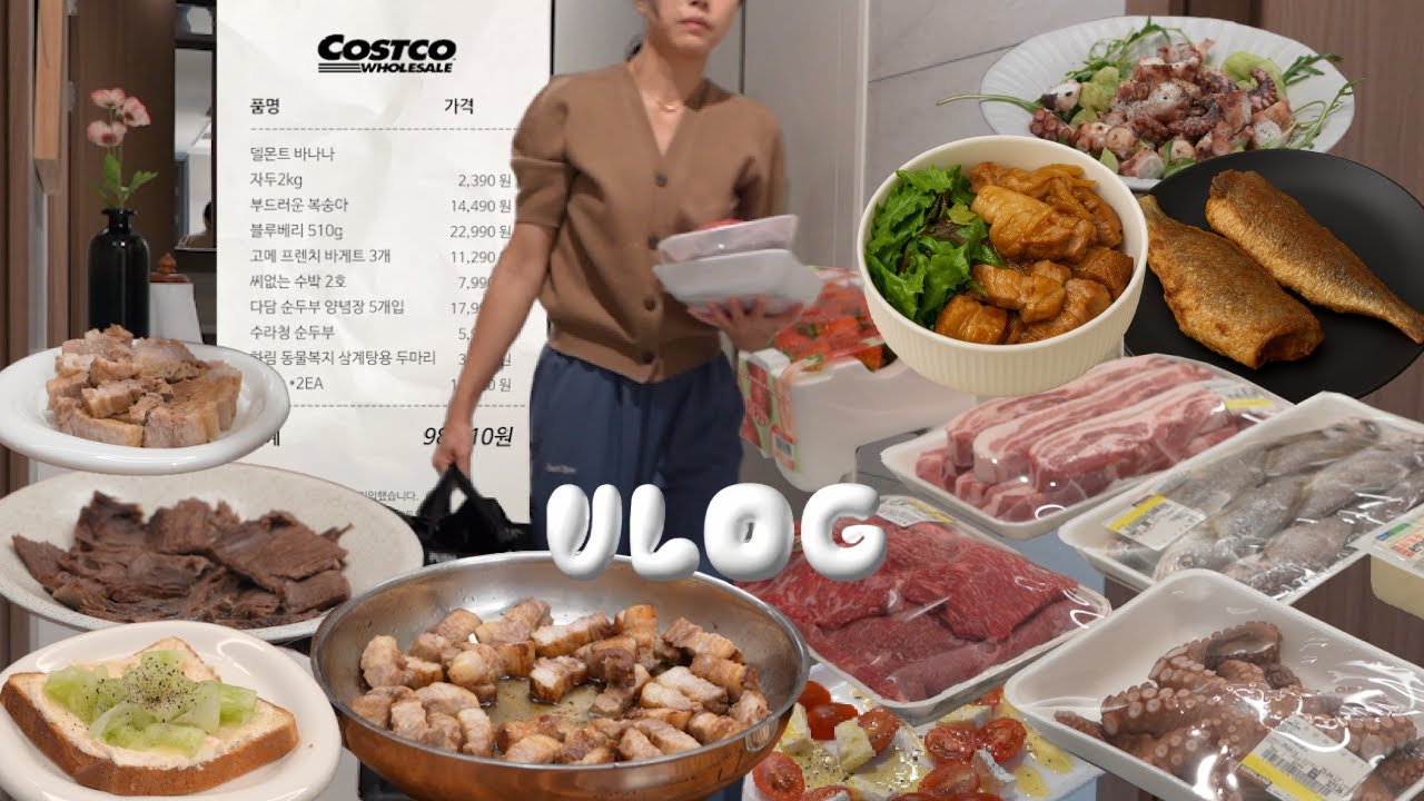 코스트코 25만 원어치 밥해먹기 🛒 🌸 미세먼지 속 집밥 먹는 브이로그 📦 다이슨 쿨 공기청정기 언박싱