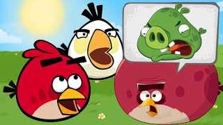 Angry Birds Animated Ep. 3 | Re-upload (Remastered 2024)