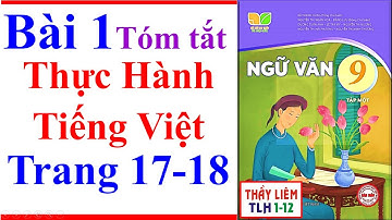Ngữ Văn 9 Bài 1 | Thực Hành Tiếng Việt | Trang 17 - 18 | Kết Nối Tri Thức | Tóm Tắt | Tập 1