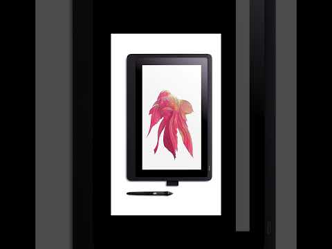 الواكوم انتوس  