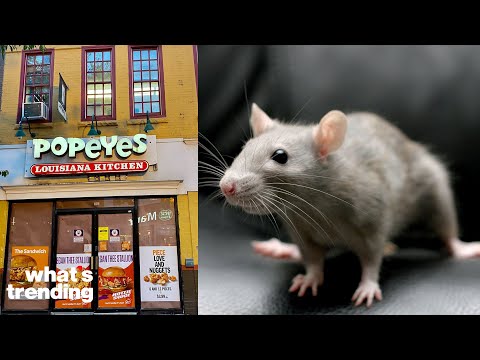 TikTok Video Shows RATS Running Around Popeyes Kitchen