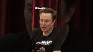 Data Dump  Secret Files Exposed!