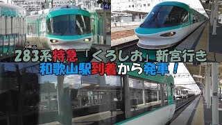 283系特急「くろしお」新宮行き 和歌山駅到着から発車！