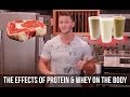 How Does Whey Protein Affect Fat Loss and Insulin - Thomas DeLauer
