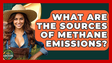 What Are The Sources Of Methane Emissions? - The World of Agriculture
