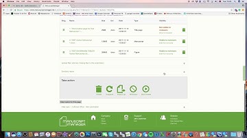 View a new submission and invite Editor in Chief