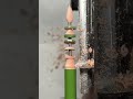 Pencil play 91 #woodturning #woodturner #pencilsharpener#greenwoodworking #woodcraft#Pencil #木工旋盤#木工