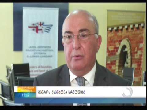 მინისტრი გაეროს ასამბლეის ახალგაზრდა დელეგატებს შეხვდა