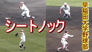 【2023春季キャンプ】早稲田大学野球部・・・シートノック‼