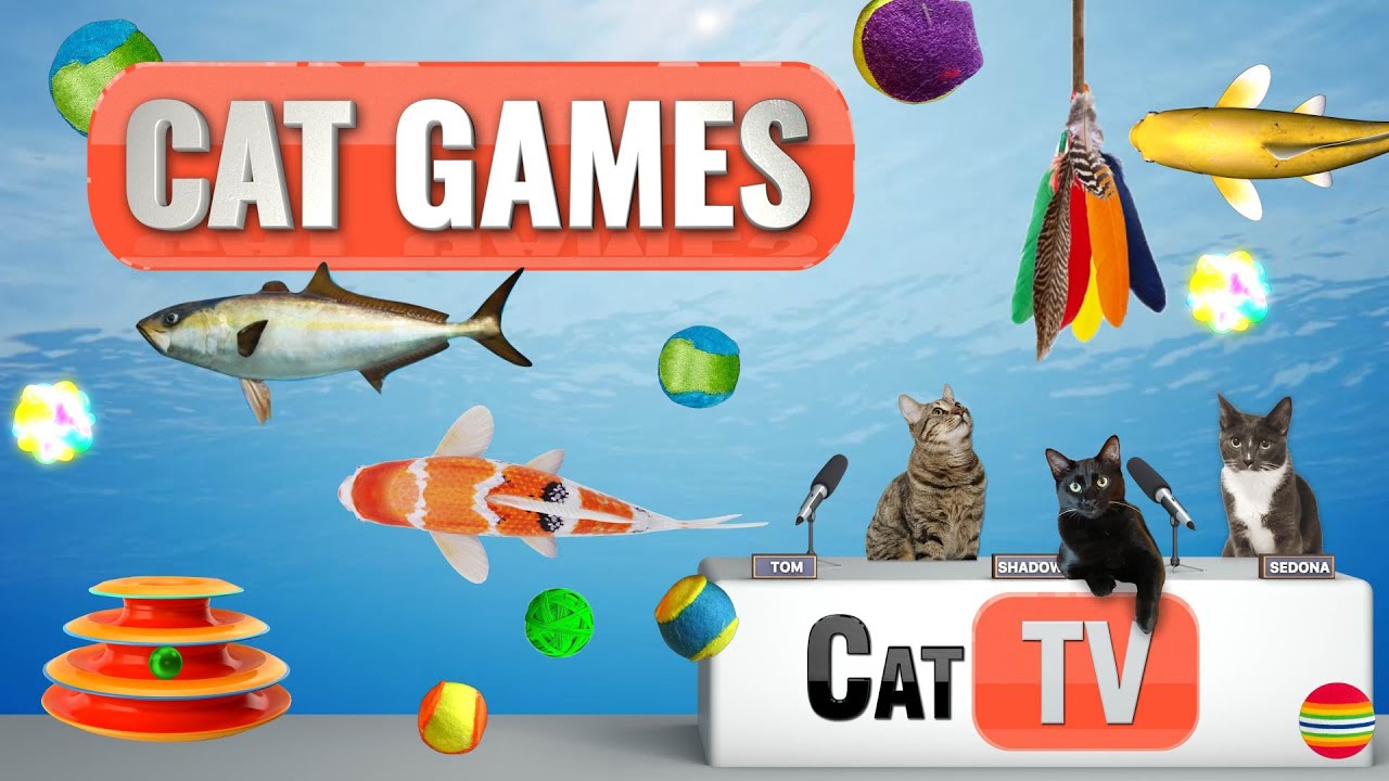 Cat Games: Throw the cat — GameSalad Forums