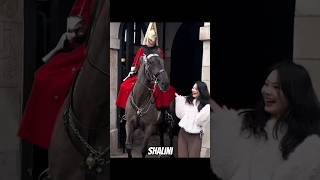 King Horses Reaction To Strangers, Watch Till The End Of Video