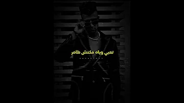 عرة فافي عامل مغامر حالات واتس اب عصام صاصا حالات واتس عصام صاصا 
