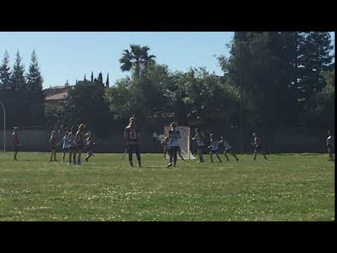 IMG 4545