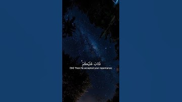 اكتب شي تؤجر عليه 🤍✨#قرآن #القرآن_الكريم #آيات_مؤثرة  #اكتب_شي_تؤجر_عليه #quran #quran_kareem
