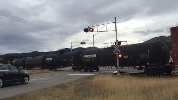 CP Rail Mixed Freight In Crowsnest Pass Alberta!