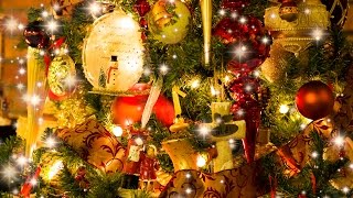 クリスマスの奇跡 from "The GIFT" Christmas Album