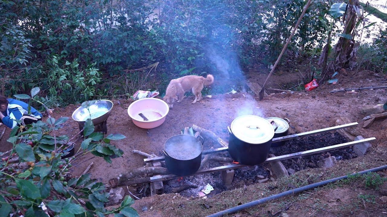 Cỗ Vùng Cao Tây Bắc | Nhịp Sống Tây Bắc