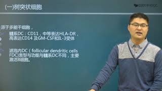 第9章抗原的加工提呈