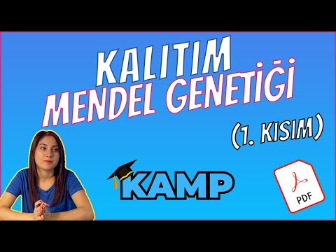 Video: Mendel'in faktörler dediği şeye şimdi ne deniyor?