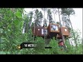 Hotel-árvore em uma floresta da Suécia